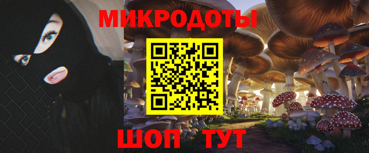 Галлюциногенные грибы GOLDEN TEACHER  купить   Черногорск  Вход с VPN 